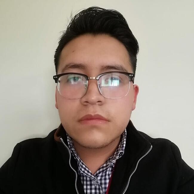 Babysitting job in Colonia Cuauhtémoc (San Antonio la Isla): Pedro Josue