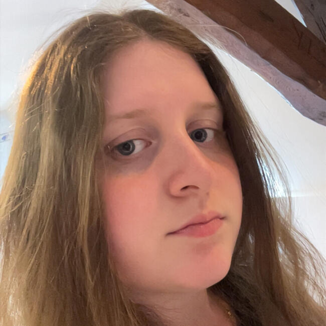 Babysitter in Tourcoing: Laura