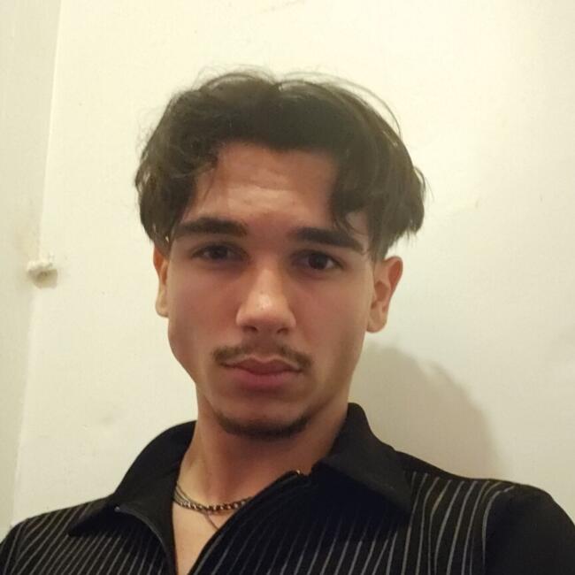 Babysitter in Suresnes: Mathis