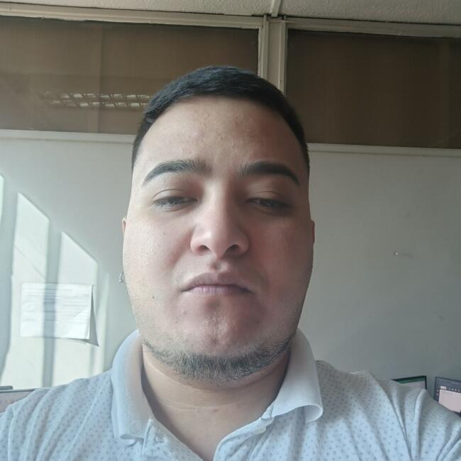 Trabajo para niñera en Santiago de Chile: Nelson