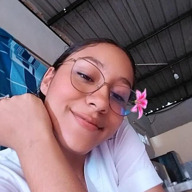 Babysitter in Santiago: Madelein