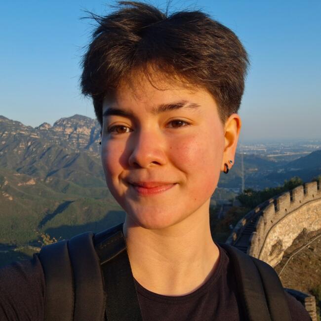 Babysitter in Blackrock: Laoise