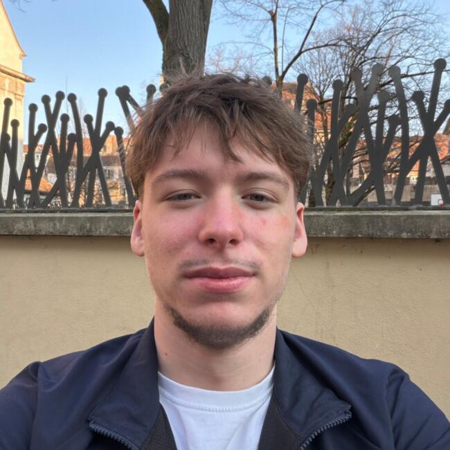 Babysitter in Strasbourg: Alexandre