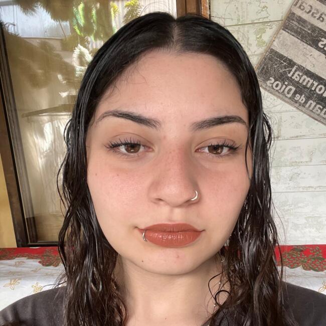 Babysitter in Lo Prado: Alanis