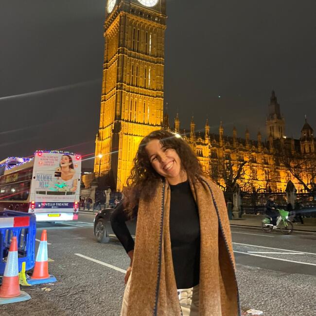 Nanny in Valencia: Wessal