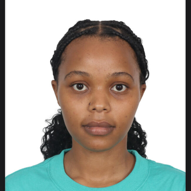 İstanbul bölgesinde bebek bakıcısı: Nice