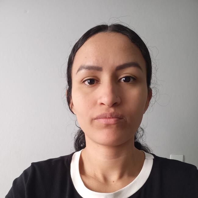 Babá em Blumenau: Jessica