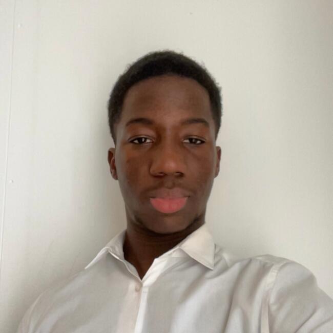 Babysitter in Ermont: Djibril