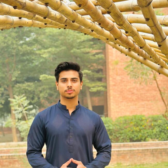 Babysitting job in Talwandi Rahwali: Shafqat