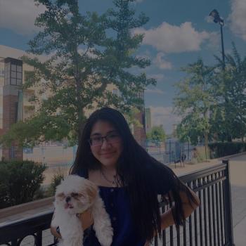 Babysitter in Brant: Alyssa Nguyen