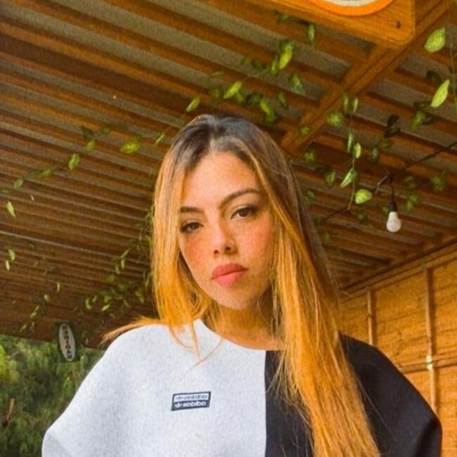 Babysitter in Mosquera: Luisa