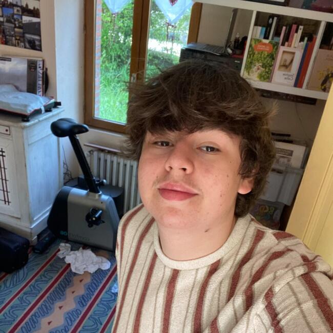 Babysitter in Nort-sur-Erdre: Arthur