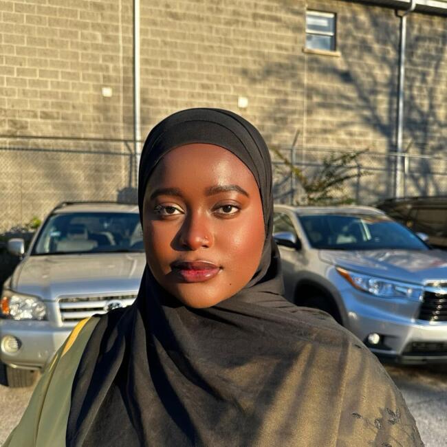 Babysitter in Chicago: Ayina