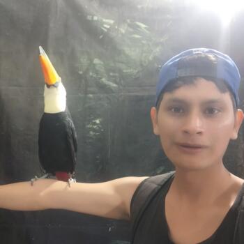 Parent Copiapó: Bryan