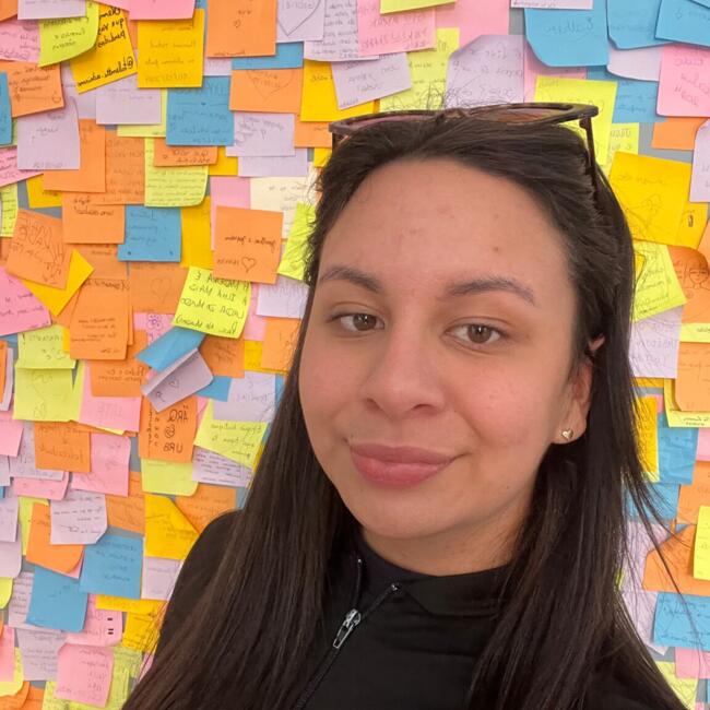 Babysitter in Novo Hamburgo: Isadora