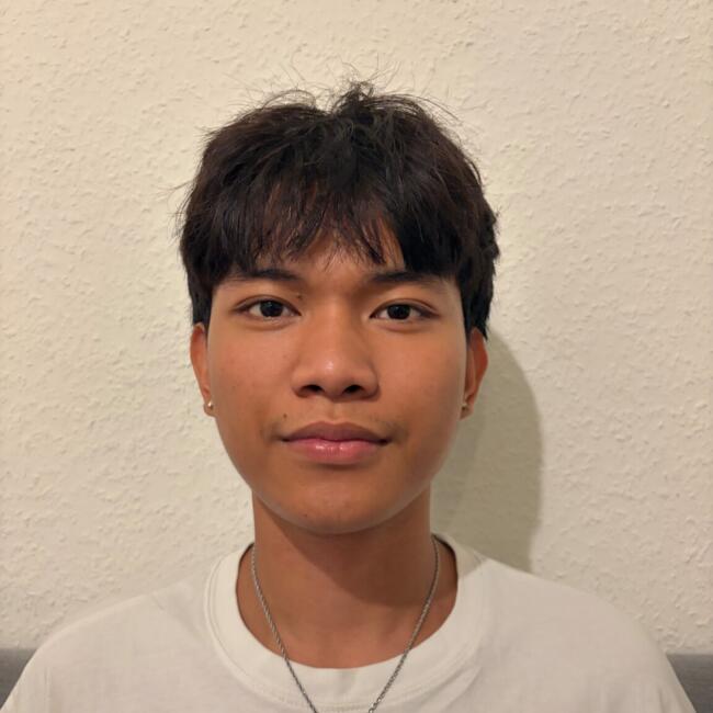 Babysitter in Ferney-Voltaire: James luke manguilin