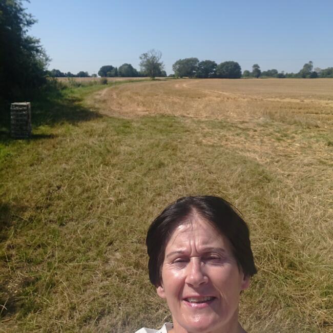 Babysitter in Droichead Nua: Sylvia