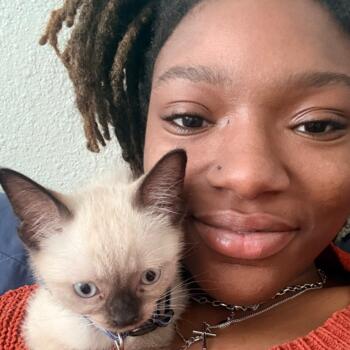 Babysitter in Charlotte: Tyana
