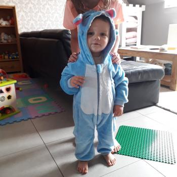 Babysitten Zottegem: babysitadres Joke
