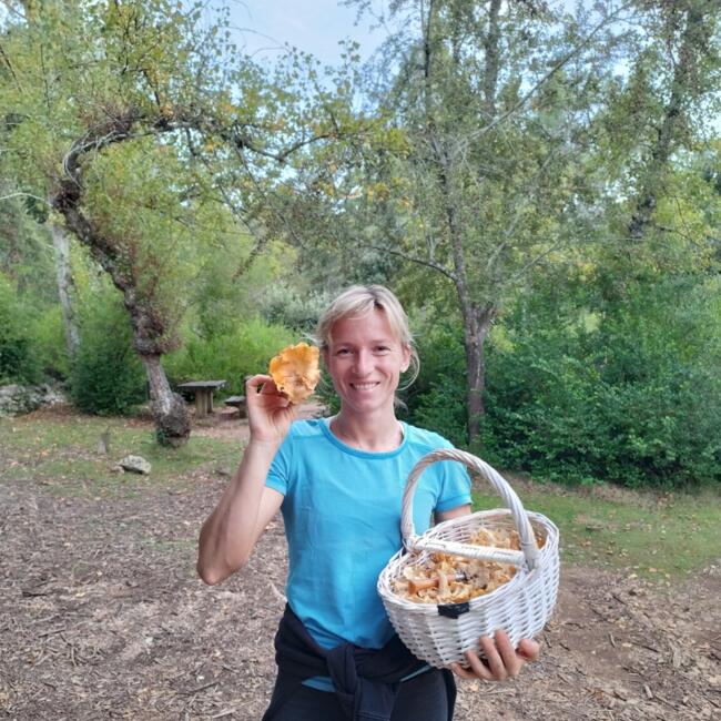 Babysitting job in Campanet: Marc