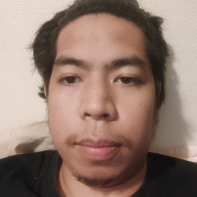 Babysitter in Colombes: Regino