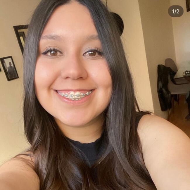 Babysitter in Viña del Mar: Denisse carolina