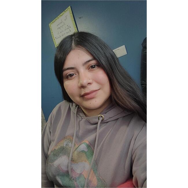 Babysitter in Port Montt: Alexandra