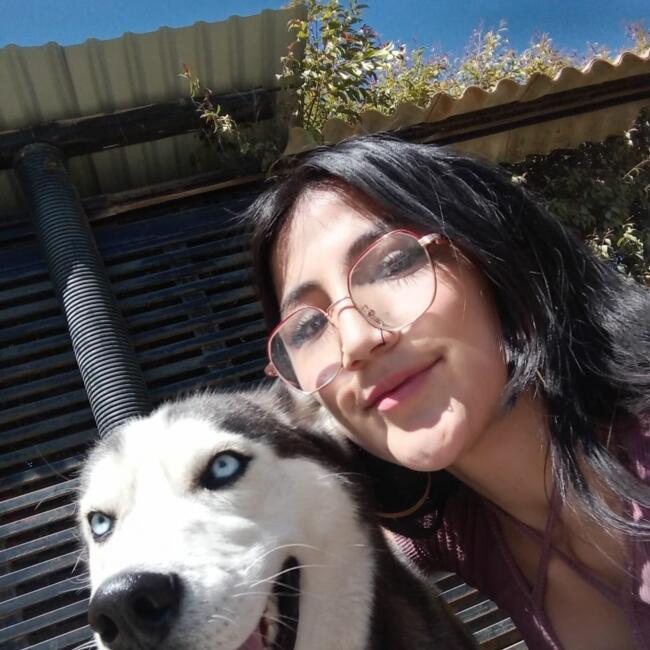 Babysitter in Tunja: Lina Ximena