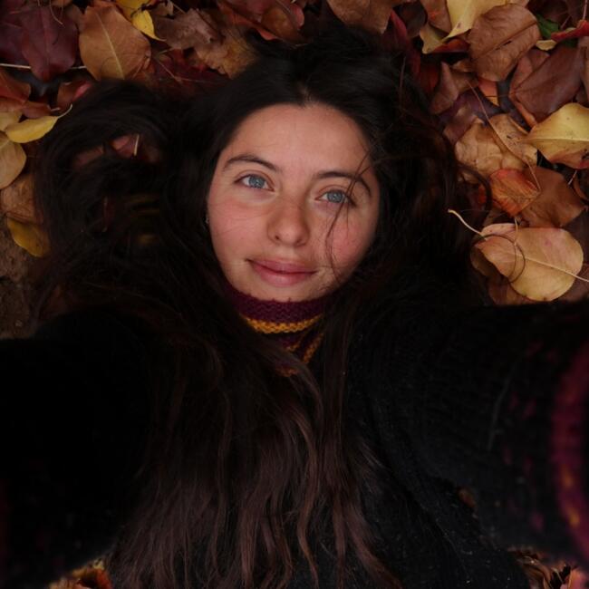 Baby-sitter in Valdivia: Amanda