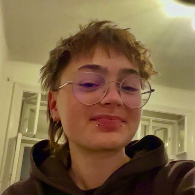 Babysitter in Wien: Mikael