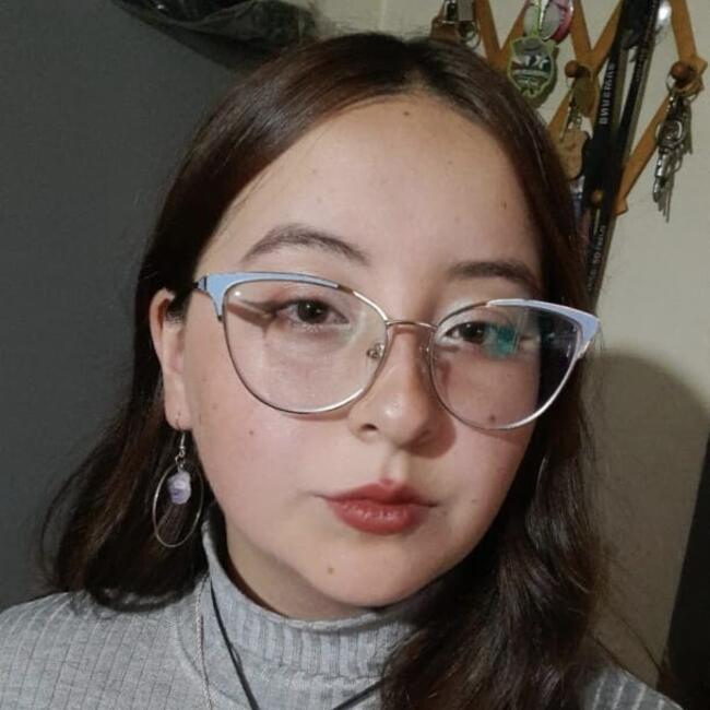 Babysitter in Santiago: Tamara