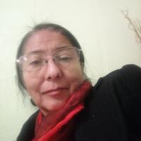 MARÍA VERÓNICA SALINAS MILLAN