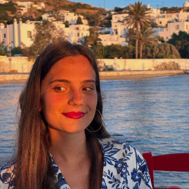 Babysitting job in Seyssel: Eric