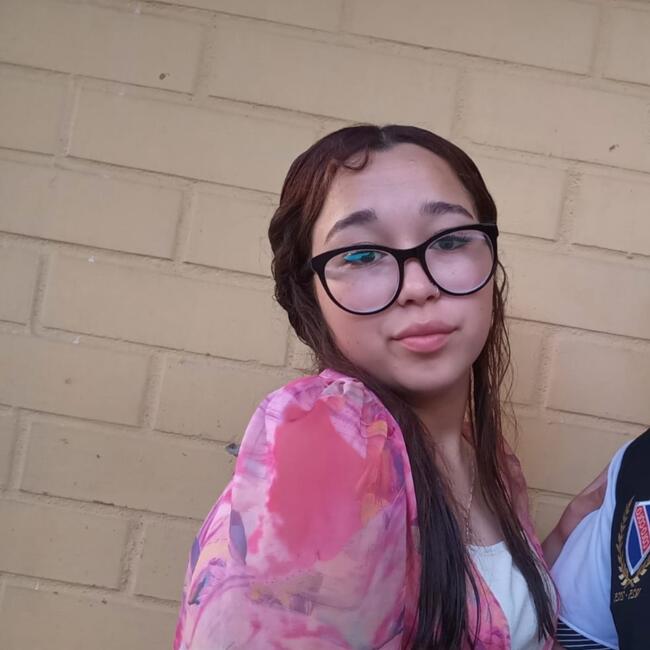 Babysitter in Puente Alto: Ashley Nahovi
