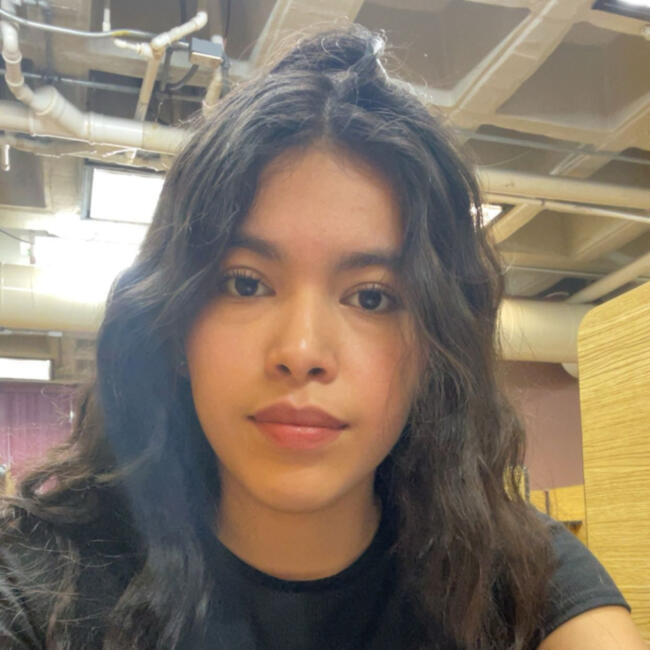 Babysitter in Santa Catarina: Carolina