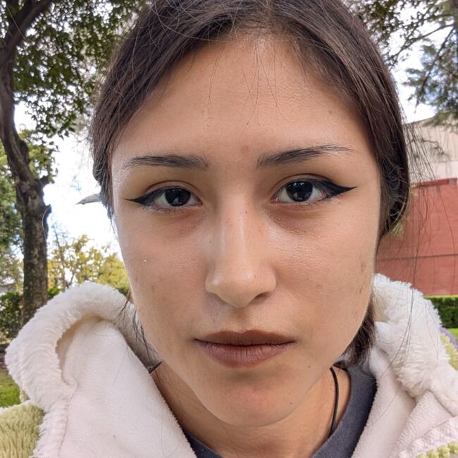 Babysitter in Naucalpan: Ximena Regina