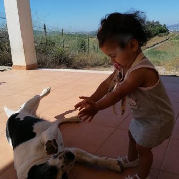 Trabalho de babysitting em Odivelas: Trabalho de babysitting Alexandra