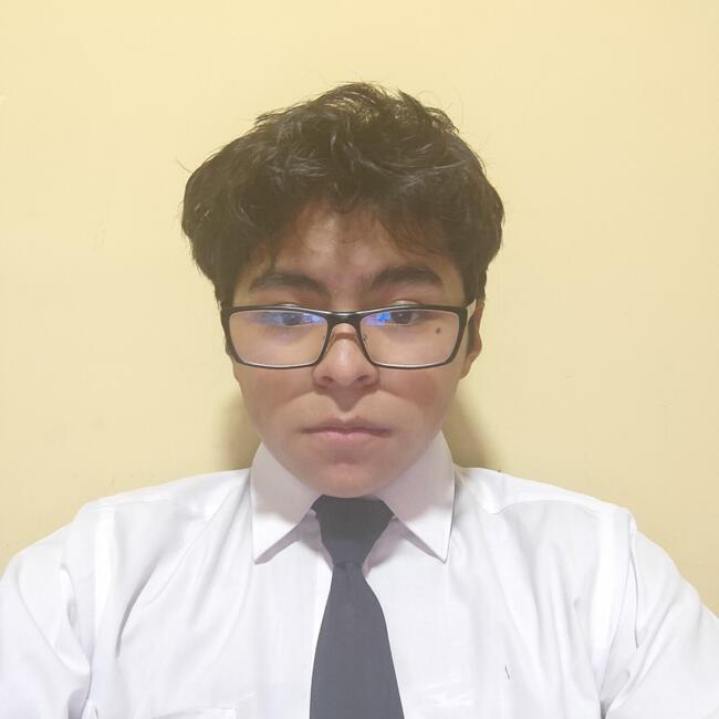 Babysitter in La Paz: Fernando