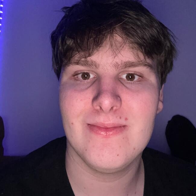 Babysitter in Norwich: Troy