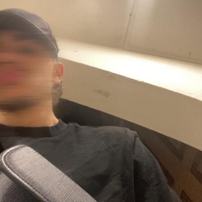 Babysitter in Tremblay-en-France: Shahin