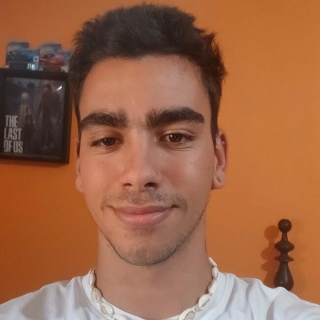 Babysitter em Odivelas: Carlos