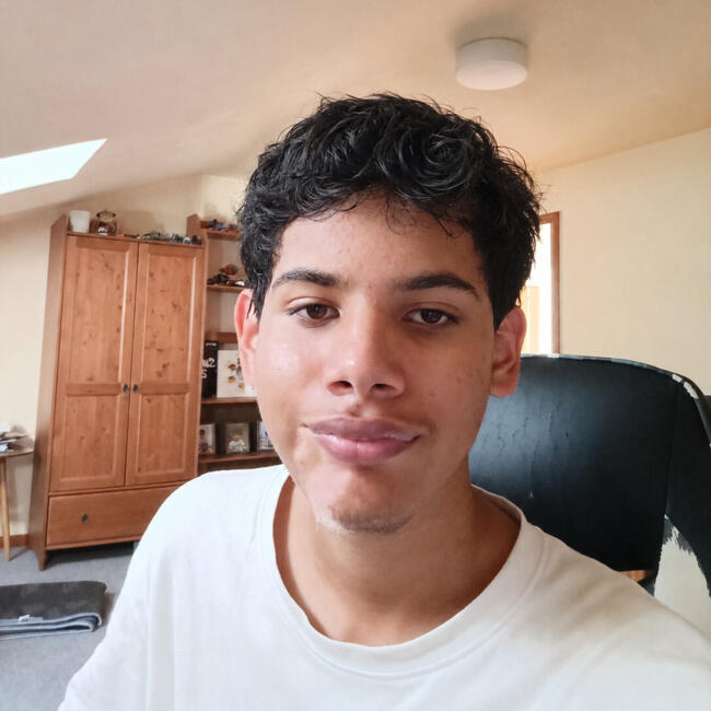 Babysitter in Saarbrücken: Hamza