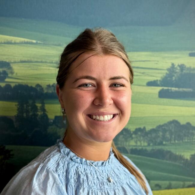 Babysitter in Christchurch: Hannah