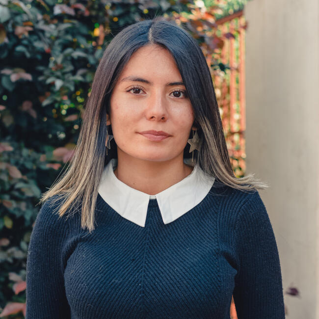 Babysitter στην περιοχή Macul: Fernanda