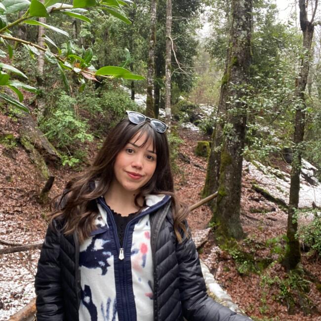 Niñera en Dalcahue: Natacha