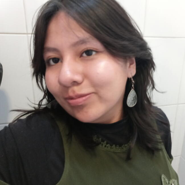 Babysitter στην περιοχή Calama: Eileen