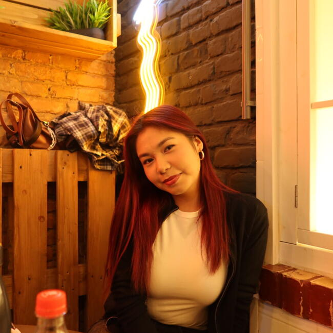 Babysitter a Milano: Akzer