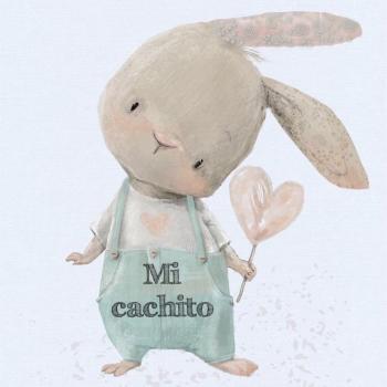 Childcare agency in Silao: Mi cachito