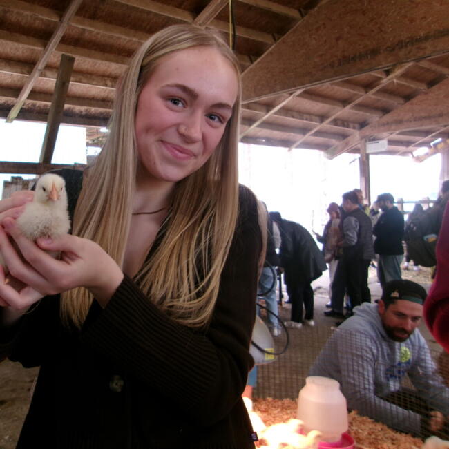 Baby-sitter in Langford: Myah