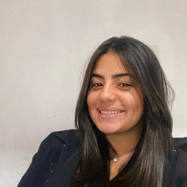 Babysitter in Itaguaí: Diana Dias